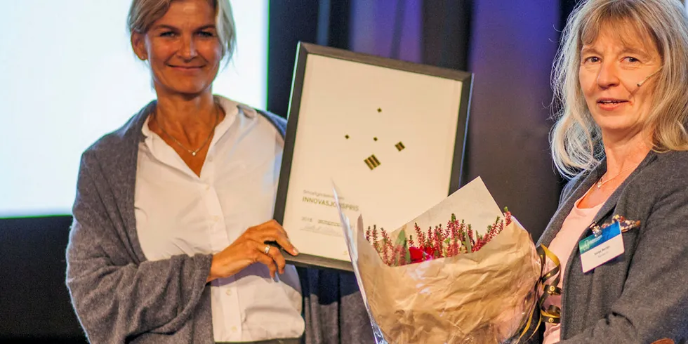 Prisvinner: Linda Jenssen, seksjonsleder Nettstrategi og analyse i Agder Energi (tv) mottar Smartgridsenterets første innovasjonspris av Sonja Berlijn, juryleder og FoU-direktør i Statnett.