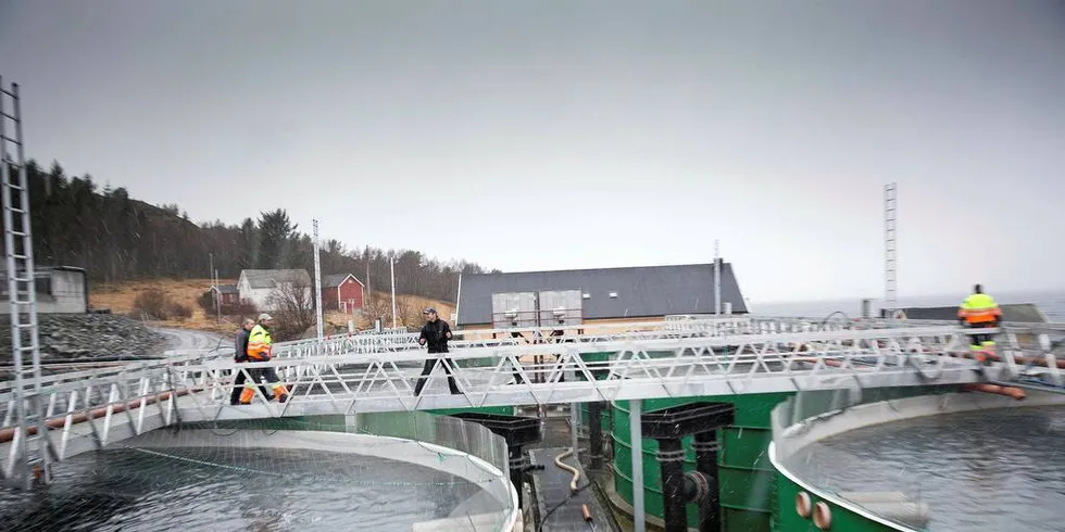 STORE INVESTERINGER: Laksenæringen gjør store investeringer samtidig som lakseprisene faller. Det er grunn til bekymring mener John Kenneth Selven.Illustrasjonsfoto: Ole Morten Melgård