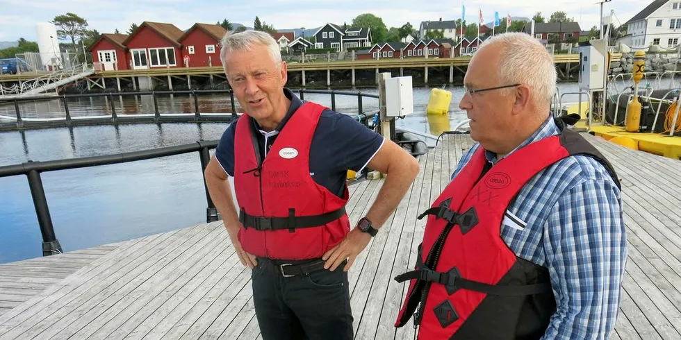 VILLIG TIL Å SATSE: Brødrene Arnfinn (t.v.) og Paul Birger Torgnes mener at tiden kan ligge til rette for en lønnsom torskeoppdrettsnæring. De ønsker å få dokumentert lønnsomheten ved å sette ut 100.000 torskeyngel i Brønnøysund.Foto: Agnar Berg