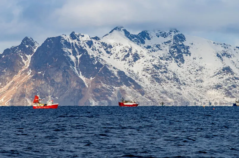 Bildet viser vinterfiske etter torsk i Lofoten. Det er lofotfisket som folk flest forbinder med norsk sjømat.