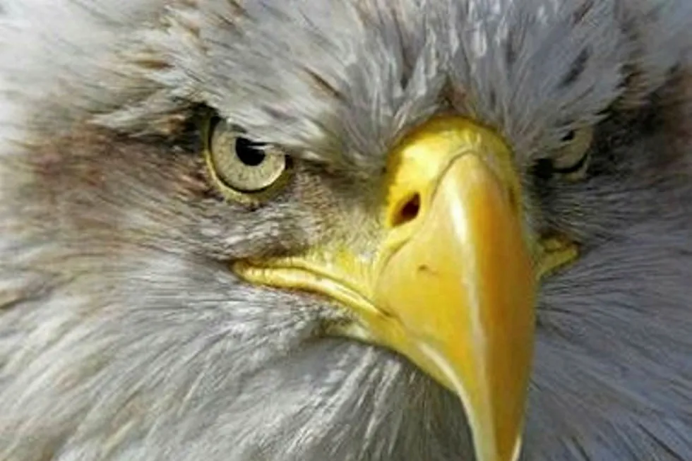 Double Eagle: The company raised $1 billion
