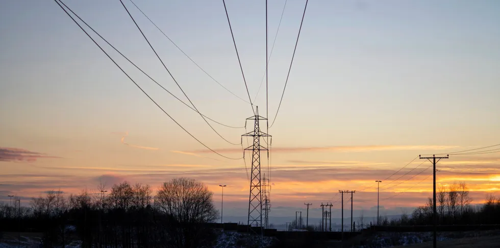 Tap av energi i strømnettet utgjør omtrent 10 prosent av den strømmen som blir produsert. Dette tapet plikter netteiere å dekke, ved å kjøpe tilsvarende volum i markedet. Høye strømpriser gjør at kostnaden for nett-tap har økt kraftig. Nå kompenseres netteiere 2,3 milliarder for å unngå at netteiere skrur opp nettleien mot strømkundene for å dekke inn kostnadene.