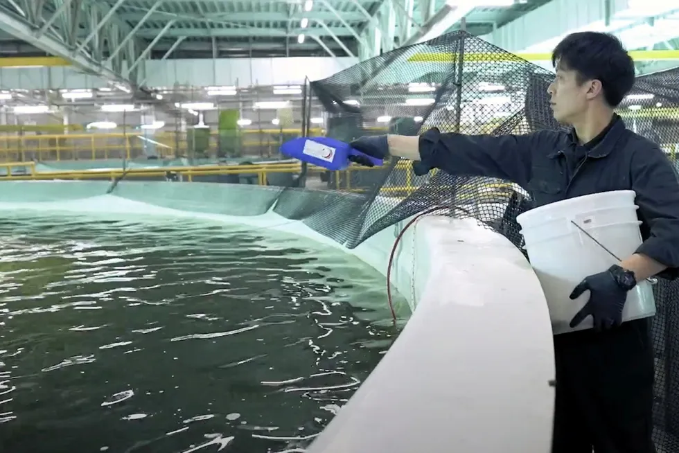 Feeding has been reduced over the last three months in an attempt to reduce turbidity in Proximar's tanks.