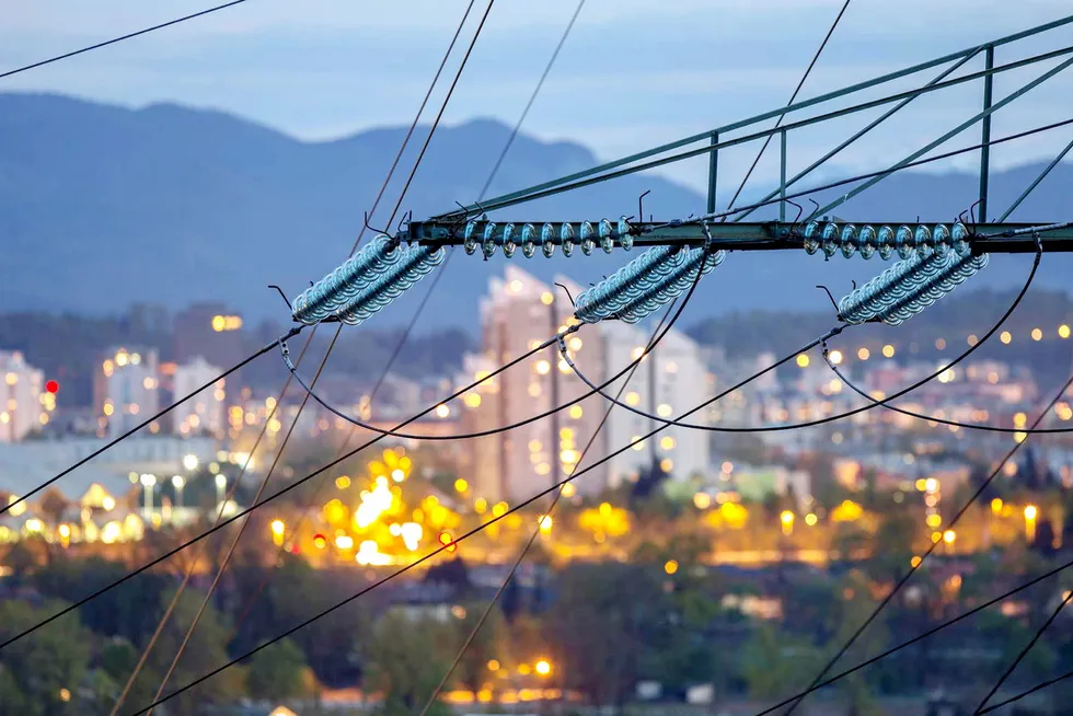Nettselskapene vil fortsatt ha mulighet til å begrense energileddet.
