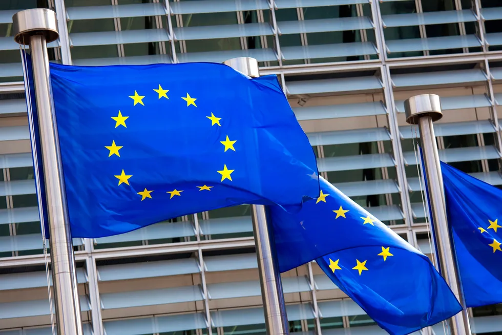Premisset kan ikke være at en utmeldelse av EØS vil kunne gi mer demokrati enn en norsk innmeldelse i EU, skriver forfatteren.