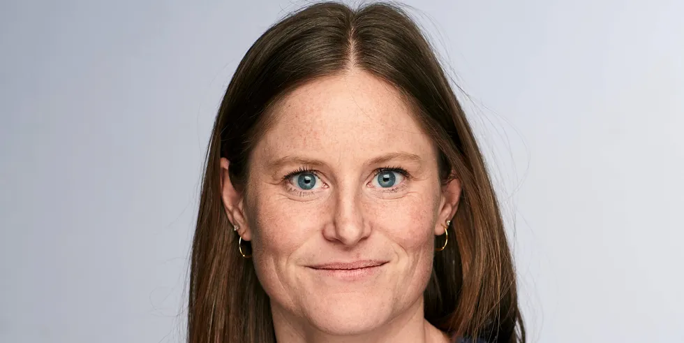 Tiril Henriksen Norvoll, seksjonssjef i RME, ønsker å høre hva aktørene i bransjen mener om mulighetene for finansielle kraftkjøpsavtaler.