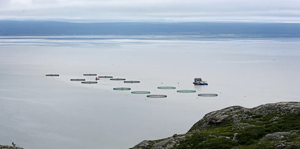 En åpenbar mulighet for å øke bosetting er å legge til rette for mer oppdrett. Det har man da også gjort litt i Varanger, men i Varangerfjorden er fortsatt lite av arealene utnyttet til oppdrett.