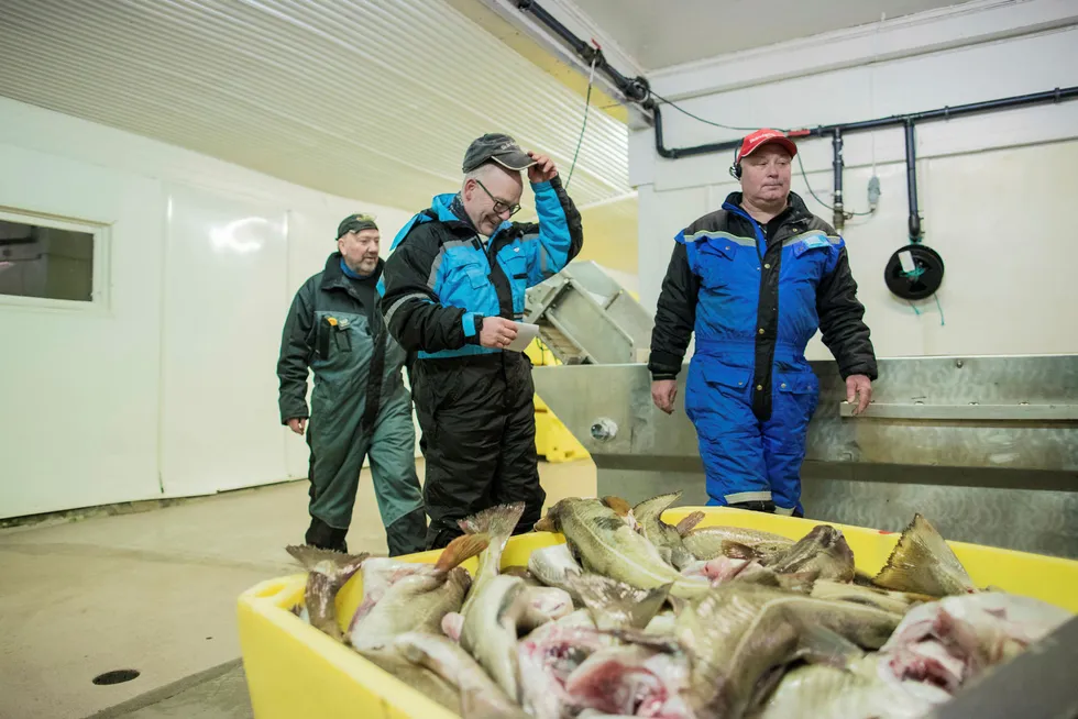 – Nedleggingsspøkelset er borte etter at Lerøy kom inn, sier daglig leder Jan Arne Skog (til høyre) på Skårvågfisk as. Her med produksjonsarbeider Kjell Ottar Larsen (til venstre) og fisker Jan Fredriksen. Foto: Marius Fiskum