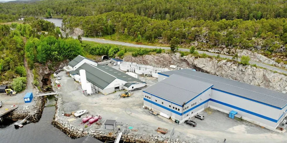 Måsøval Settefisk sitt anlegg Laksåvika utenfor Hitra.Foto: Anders Furuset