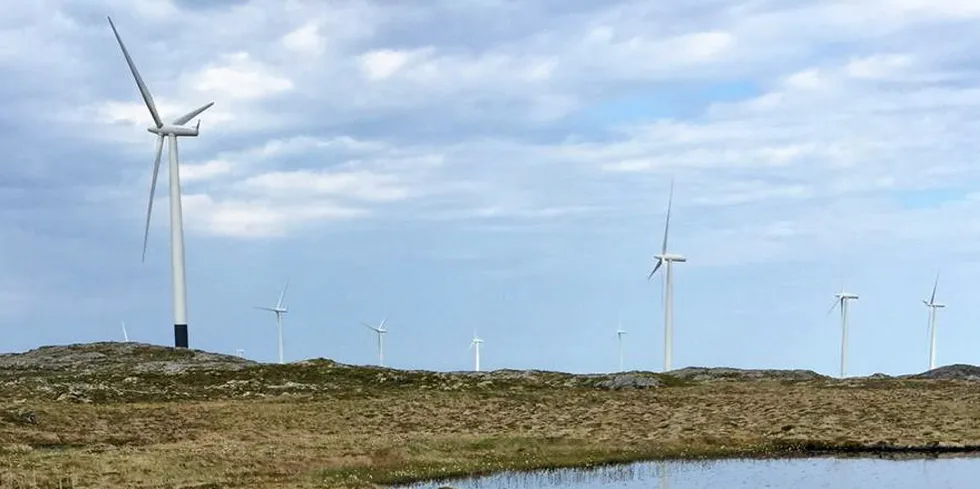 Svartmaling nederst på vindturbinen ga 48 prosent reduksjon i registrerte antall døde liryper.