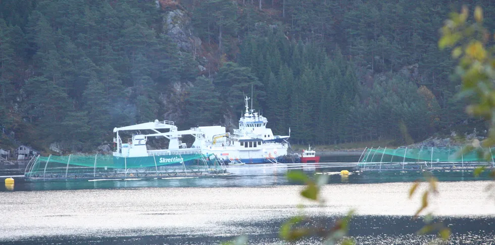 Oppdrettsmerd ved Tysnes kommune tilhørende Lerøy.