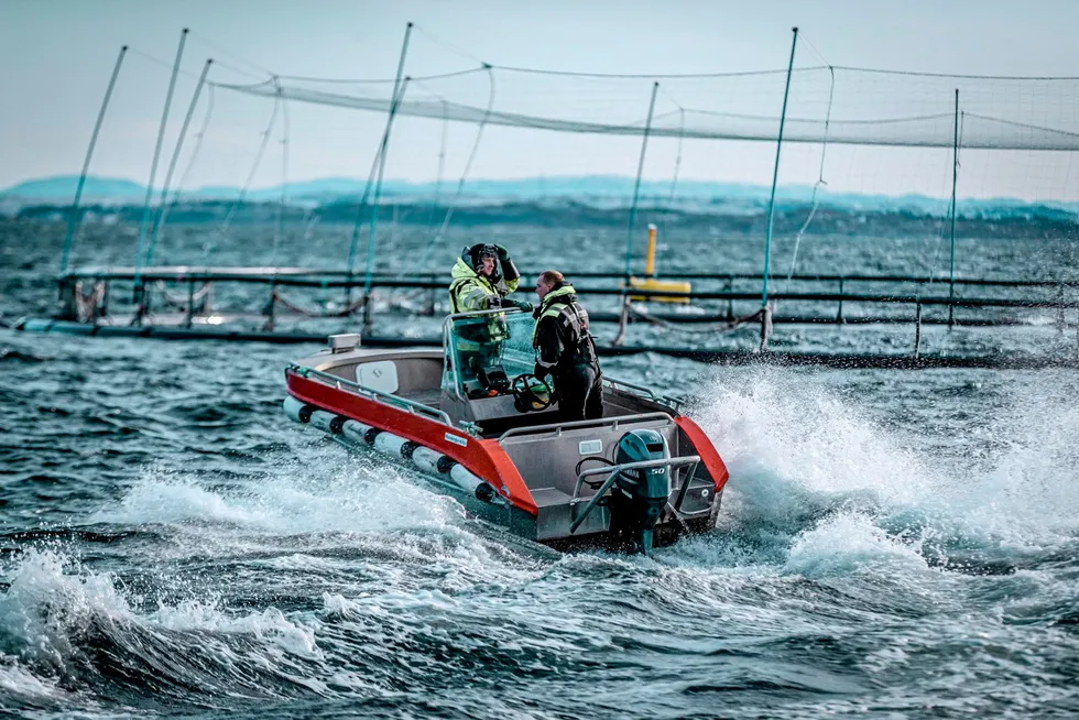 Hvis lakseprisen er tilstrekkelig lav, vil skattebyrden bli høyere med regjeringens forslag enn med en færøyskatt, skriver Bård Misund og Trond Bjørndal.