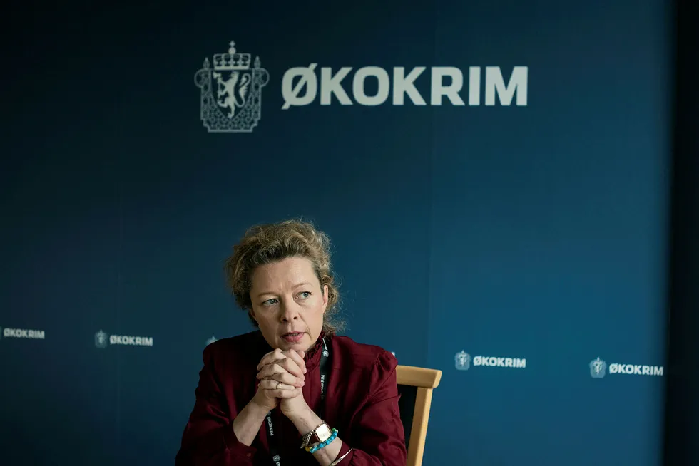 I Norge håndteres rapporter om mistenkelige, internasjonale pengetransaksjoner fra finansnæringen av Enheten for finansiell etterretning, som ligger under Økokrim. Assisterende Økokrim-sjef Hedvig Moe sier at etaten ikke kjenner til hva som er lekket fra Fincen når DN spør om norske interesser er berørt.