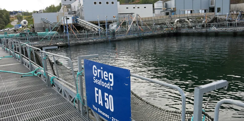 Ventemerd ved Grieg Seafood Finnmark sitt lakseslakteri Alta