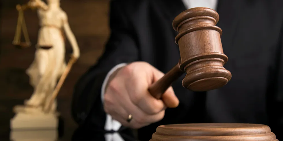 Offentlighetsloven gjelder for BKK, men ikke for TrønderEnergi - i hvert fall hvis to forskjellige dommer fra to forskjellige tingretter blir stående.