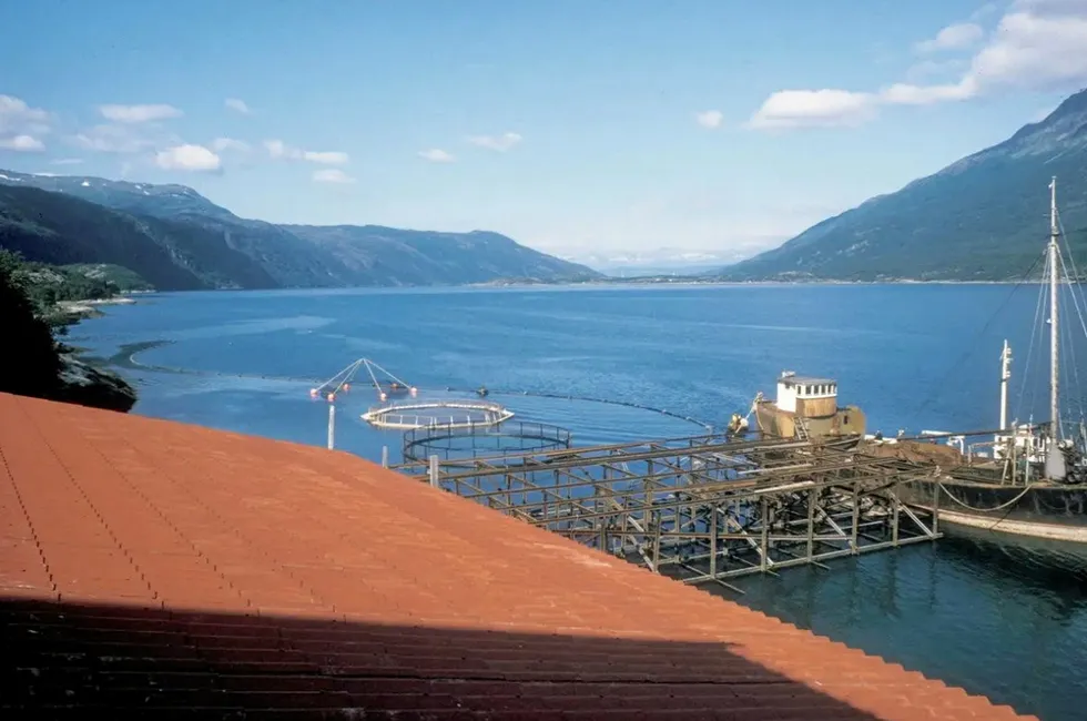 Forsheim forskningsstasjon. Brødrene Skavik fra Narvik stod for pælingen og bygg av kaia.