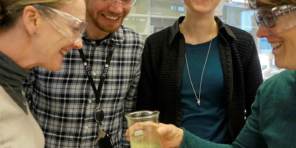NTNU- forskerne Fride Vullum-Bruer, Andreas Nicolai Norberg, Kristin Lønsethagen og Susanne Jäschke jobber med en prototype av algematerialet som kan tas videre av industrien.