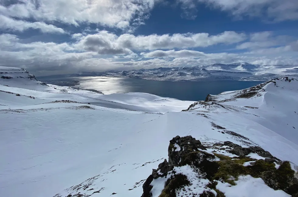 En av lokasjonene til Ice Fish Farming, Reyðarfjörður. Selskapet heter i dag Kaldvik.