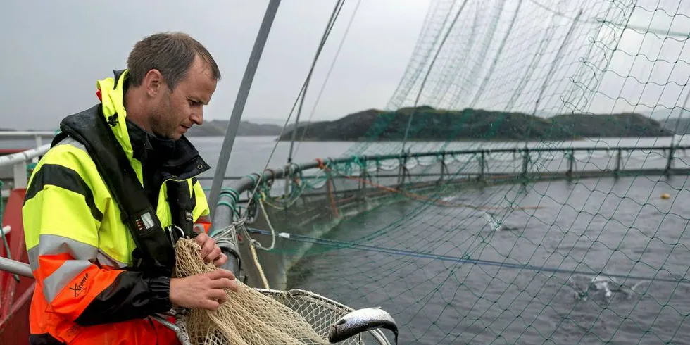 ANLEGG: Stein Ove Tveiten i Norway Royal Salmon på Torvastad i Haugesund.