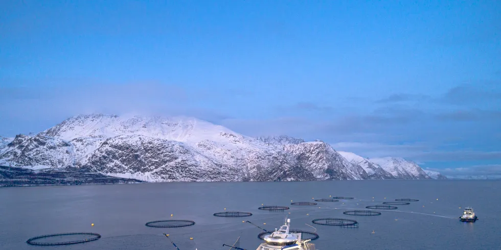 Oppdrettsselskapenes driftskostnader knyttet til sjøfasen steg kraftig det første året med grunnrenteskatt på havbruk, ifølge Fiskeridirektoratet. Her oppdrettsanlegget Lerøy Årøya i Lyngenfjorden.