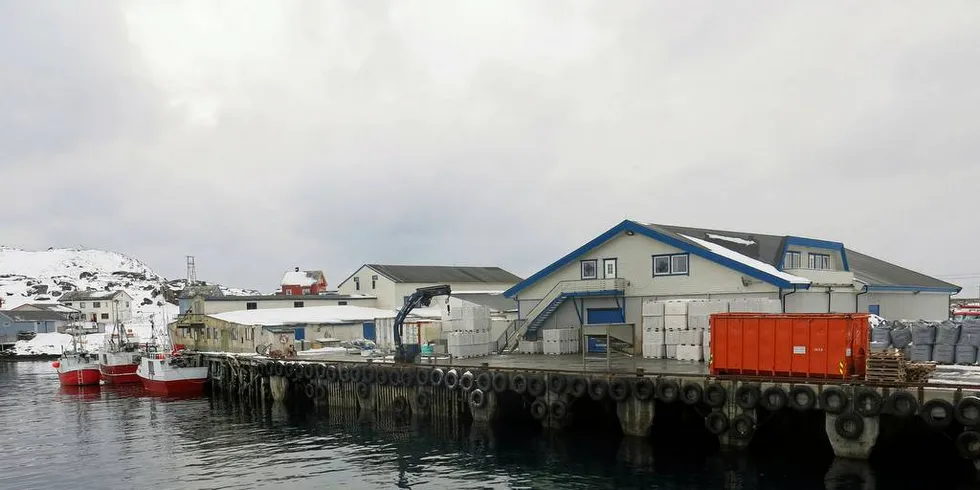 BRAKK SIDEN I FJOR VÅR: Det har ikke vært drift på hvitfiskmottaket til Fjordlaks på Ingøy siden i fjor vår. Mottaket er et være eller ikke være for øysamfunnet. Nå jobbes det med å få til aktivitet igjen. Kanskje kommer Fjordlaks tilbake?Foto: Agnar Berg
