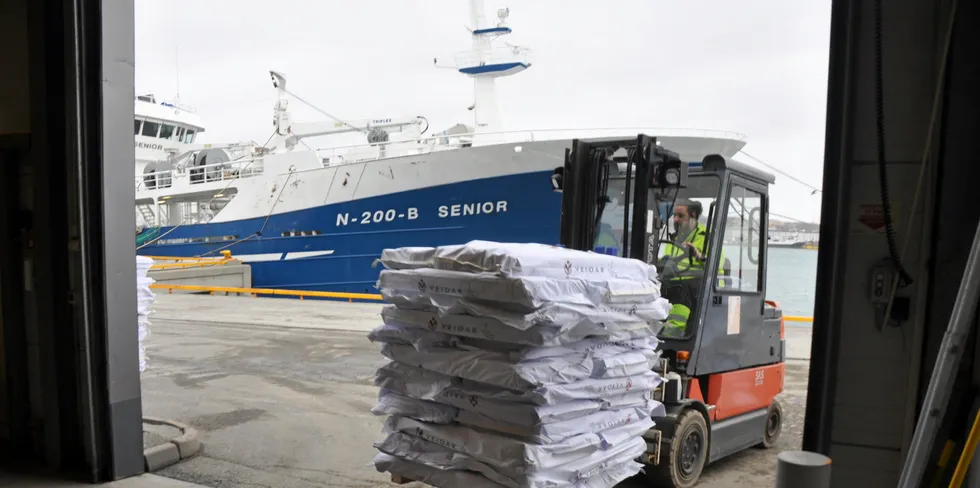 Nordland fryseterminal har hatt flere fiskefartøy inne i år enn tidligere. Bildet viser en palle fra linebåten «Veidar» bli kjørt inn i terminalen i 2021.