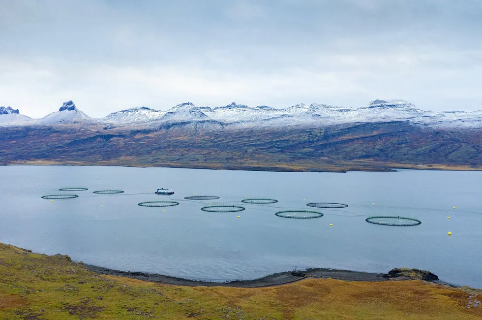 Ett av anleggene til Kaldvik, tidligere kjent under navnet Ice Fish Farm, på Island.