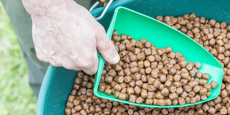 Den globale forsyningskjeden er mer utfordret nå enn under de tidligere stadiene av pandemien. Det sa innovasjonsdirektør for laks i Skretting, May-Helen Holme, under North Atlantic Seafood Forum 2022.