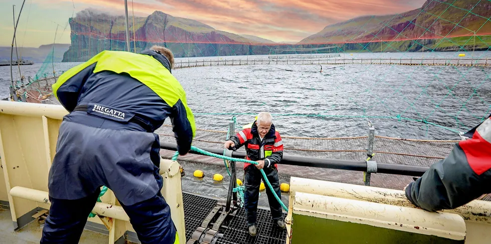 Hiddenfjord er en av tre oppdrettere på Færøyene. Det eneste som fremdeles er familieeid, og ikke børsnotert.