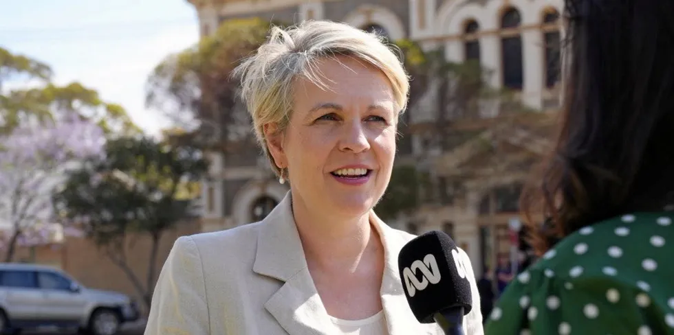 Tanya Plibersek, Australian minister for the environment and water, speaks to Australian media outlets.