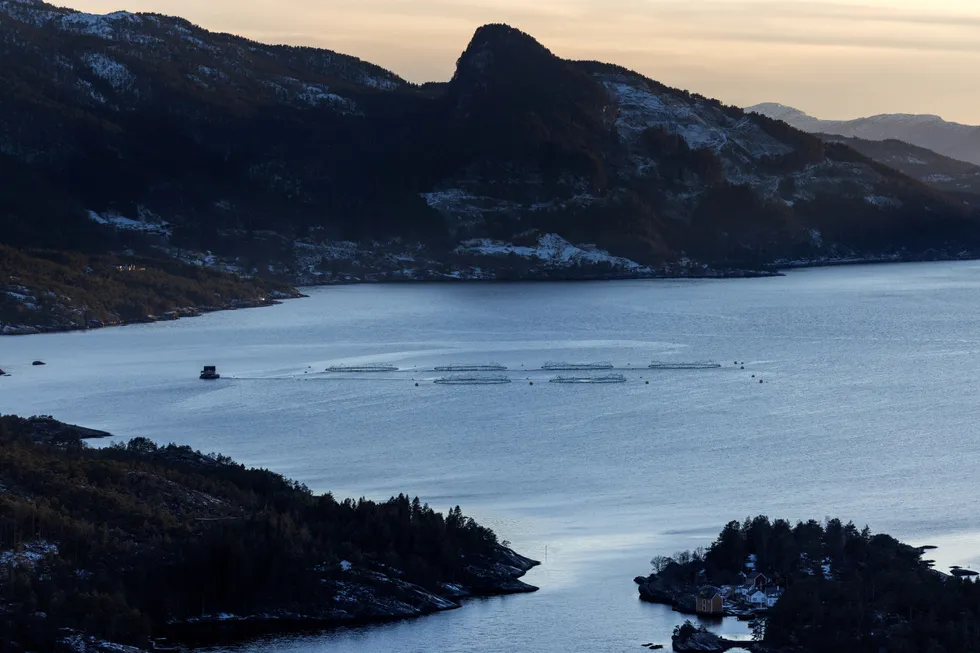 Oppdrettsmerder i Ullensvang kommune i Hardanger.