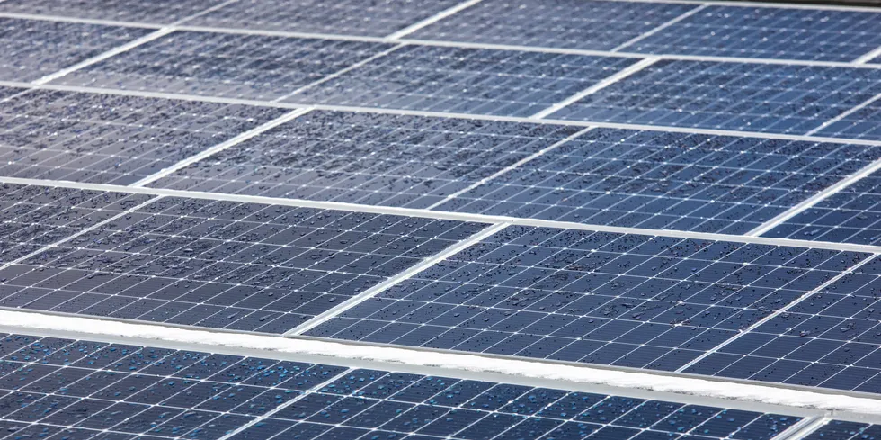 IEA forventer mye mer investering i solenergi framover.