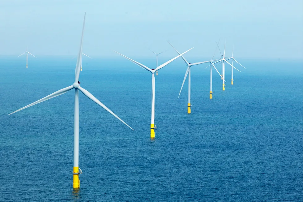 Statkraft ønsker ikke å utelukke noen potensielle leverandører såpass tidlig i prosessen på Delta North. Bildet er fra Borselle 1 & 2 utenfor kysten av Nederland.