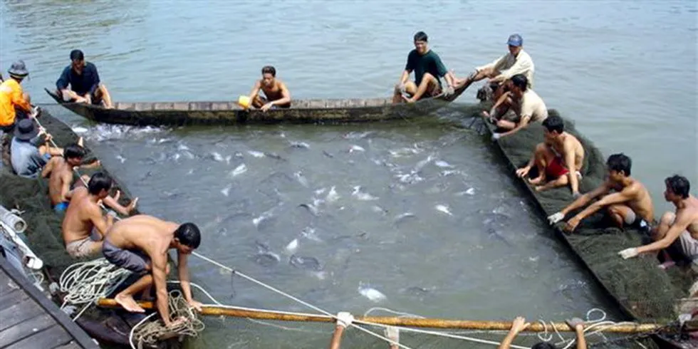 Pangasius: Fiskeoppdrett i Vietnam i Mekong-deltaet. Arkivfoto: Nils Kr. Sørensen.