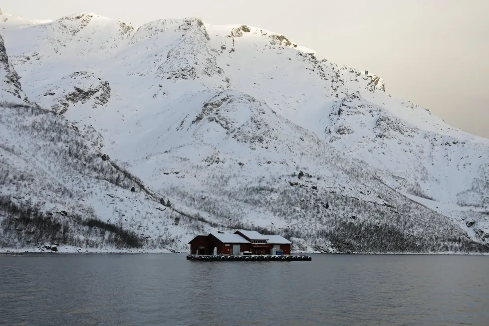 Cermaq-lokaliteten Ytre Koven, tilhørende Cermaq.