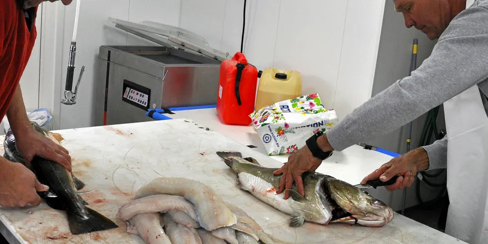 NEKTES: Hehk De Hey, Eddy Eerens og Guido Penders setter pris på god fisk og kommer til Nord-Norge utelukket for rekreasjon – ikke for å fylle fryserne hjemme. Får nordlandsfiskerne ønsket sitt igjennom vil det innføres forbud mot eksport av turistfisk.