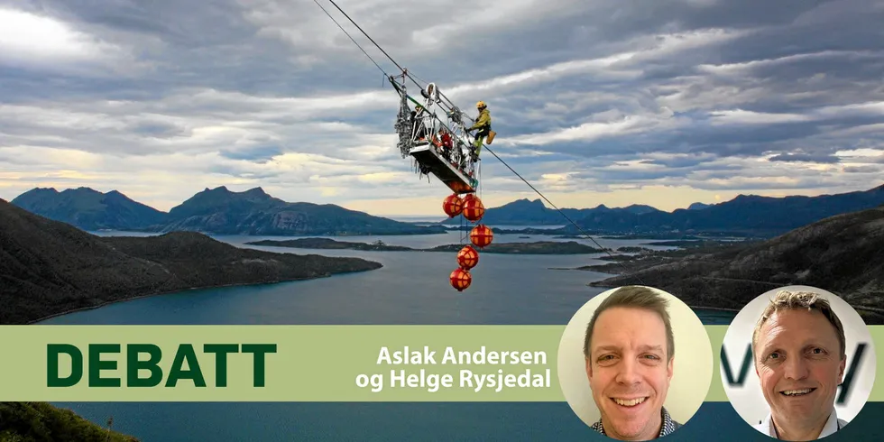 Nettselskapene har mye å lære av Nye Veier AS. Priselementet har Nye Veier AS skjøvet langt bakover i rekken. Likevel har de fått ned byggekostnaden i sine prosjekter med 17 prosent, skriver artikkelforfatterne. Aslak Andersen og Helge Rysjedal.