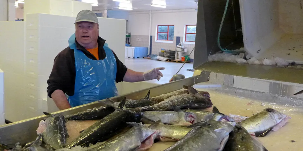 Leif Bognøy i Nordhordland Fisk har ikke mye tro på politikerne som ikke tar grep om strømkrisen.