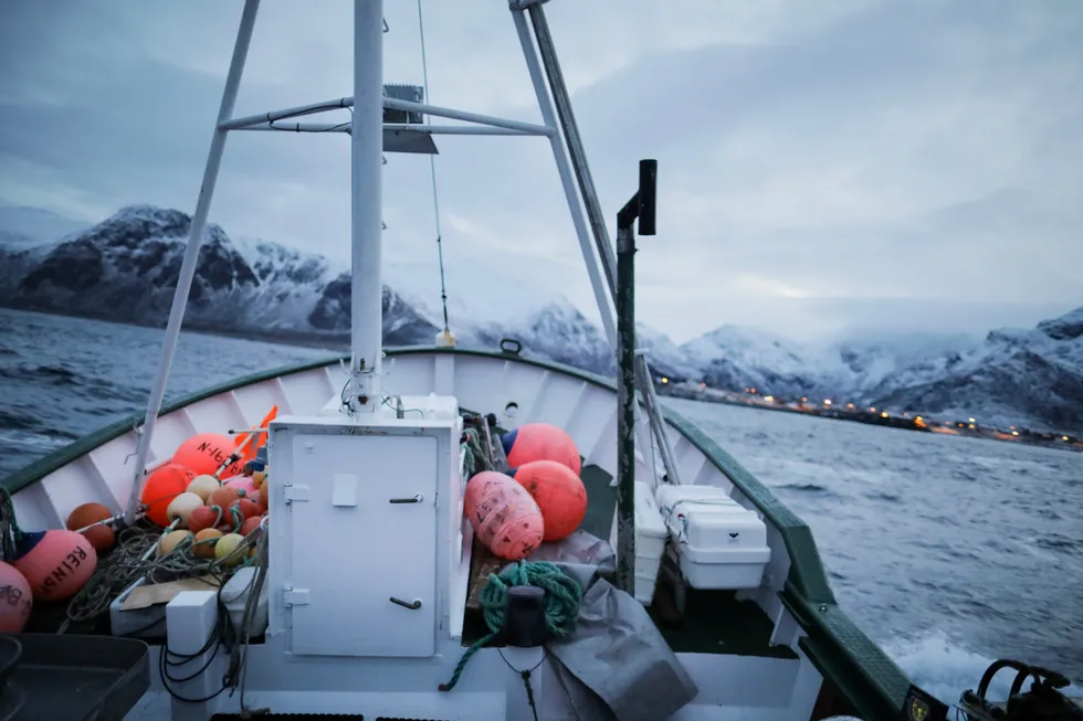 Du kan spise 25 torskemiddager for hver biff, og makrell og sild har enda lavere klimagassutslipp per kilo, skriver artikkelforfatterne.