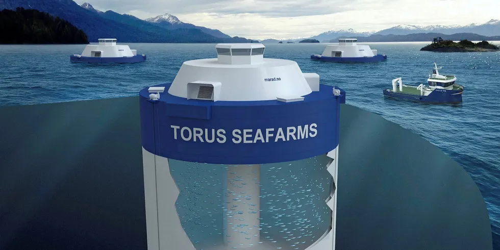 Illustrasjon av Torus Seafarm.