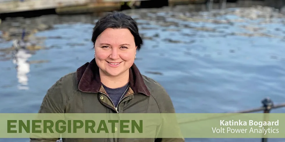 Analytikeren vil informere folk på enklere måte: – Kan egentlig ikke snakke for mye om kraftmarkedet