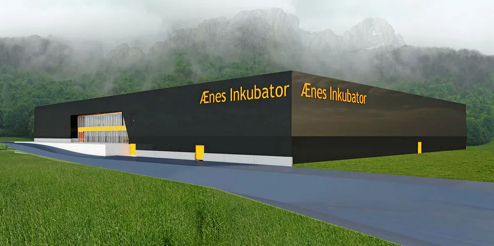 Illustrasjon av settefiskanlegget Ænes Inkubator, som skal bygges i Hardanger.