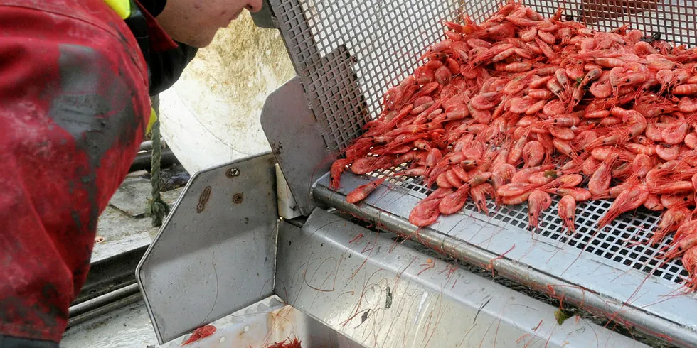 Rekefiske er det viktigste fiskeriet både i Skagerakfisk og Rogaland Fiskesalgslag. Det var derfor naturlig å slå sammen disse to salgslagene, mener styrelederne i selskapene.