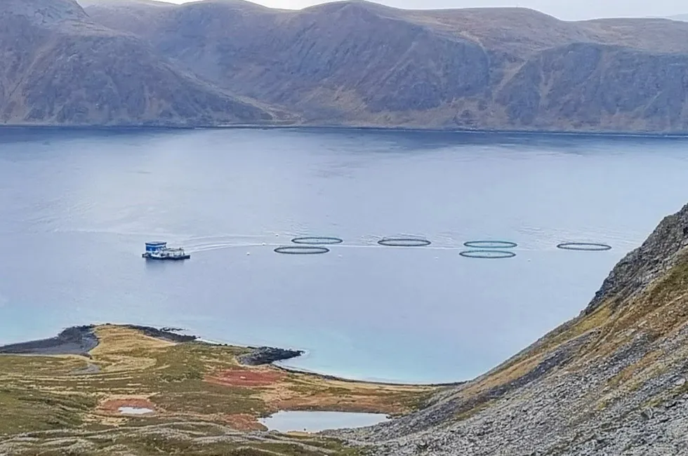 Et av Grieg Seafoods anlegg i Finnmark. Selskapet driver også lakseproduksjon i Rogaland, samt i Canada.