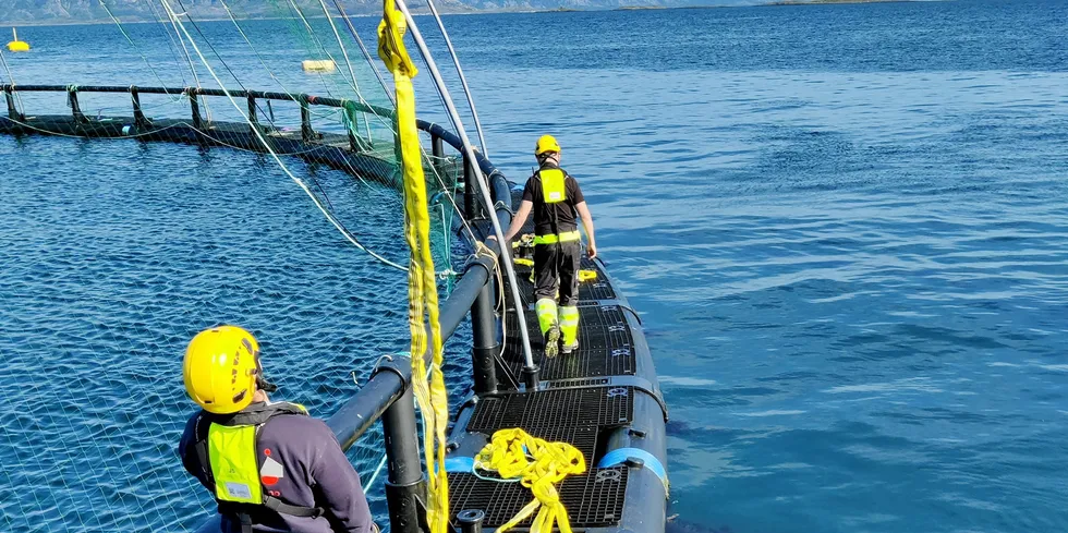 – Det har vært en bratt læringskurve som hovedverneombud. Man føler seg litt fersk i møter med områdeledere, direktører og HR, men det går bra. Nova Sea jobber veldig bra med HMS i hele konsernet, sier Kim-Roger Storheil, som begynte jobben i Vega Sjøfarm i 2019.