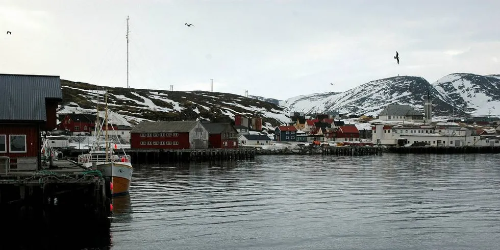 LOKAL KVOTE: Hjeltneskvoten må bearbeides i Mehamn eller andre steder i Gamvik og Lebesby kommuner.Foto: Are Kvistad