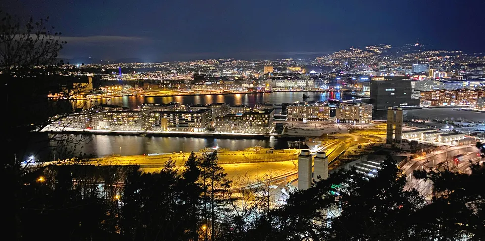 Norge har veldig lite fleksibelt strømforbruk. Det meste av strømmen vil bli brukt nesten uansett om strømmen er billig eller dyr.