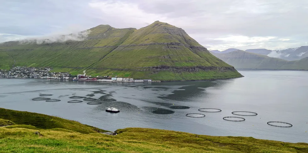 Fôrfabrikken Havsbrun ligger i Fuglarfjord på Færøyene. I forgrunnen er et av Bakkafrosts oppdrettsanlegg.