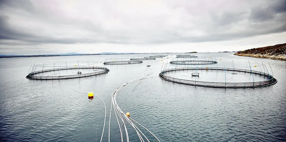 Lokaliteten Espnestaren i Frøya kommune tilhører Måsøval Fiskeoppdrett.