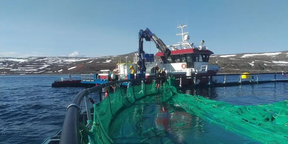 Antall søkere til Akvakultur Vg2 har økt med 30 prosent fra 2016 til 2017. Ill.foto: Ronald Wærnes